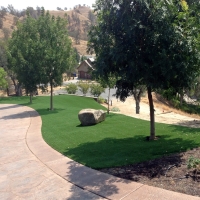 Synthetic Turf Countryside Illinois Landscape Front Yard