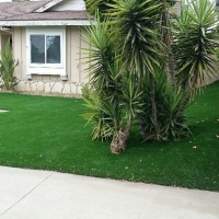 Synthetic Turf East Hazel Crest Illinois Landscape Back