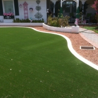 Synthetic Turf Fox River Grove Illinois Lawn