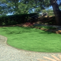 Synthetic Turf Highland Park Illinois Landscape