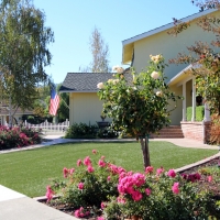 Synthetic Turf Homewood Illinois Landscape Pools Back