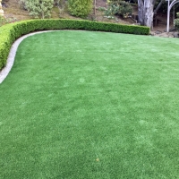 Synthetic Turf Lake Bluff Illinois Landscape