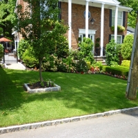 Synthetic Turf Morton Grove Illinois Landscape Back Yard