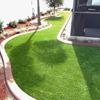 Synthetic Turf Morton Grove Illinois Landscape Front Yard