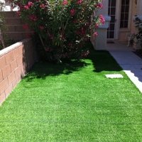 Synthetic Turf Posen Illinois Landscape Back Yard