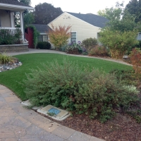 Synthetic Turf Schaumburg Illinois Landscape Back Yard