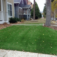 Synthetic Turf Schiller Park Illinois Lawn Front Yard