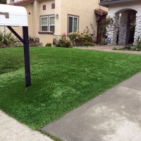 Synthetic Turf Steger Illinois Lawn Front Yard