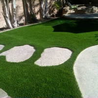 Synthetic Turf Winfield Illinois Landscape Back Yard