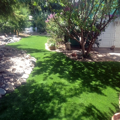 Artificial Grass Ford Heights Illinois Landscape Commercial