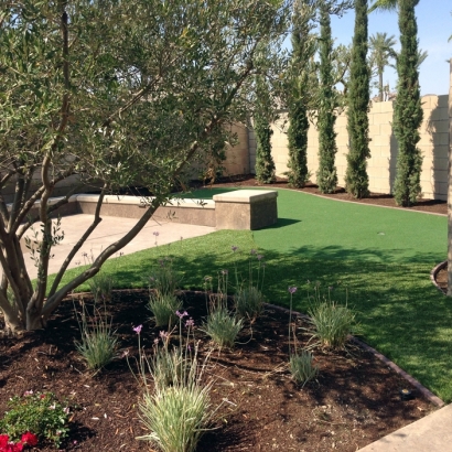 Artificial Grass Hodgkins Illinois Landscape Commercial