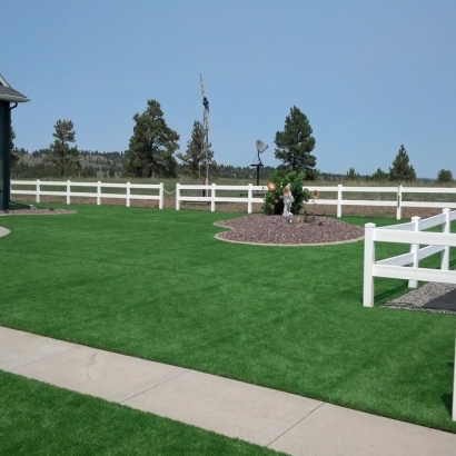 Artificial Grass Midlothian Illinois Lawn Back Yard