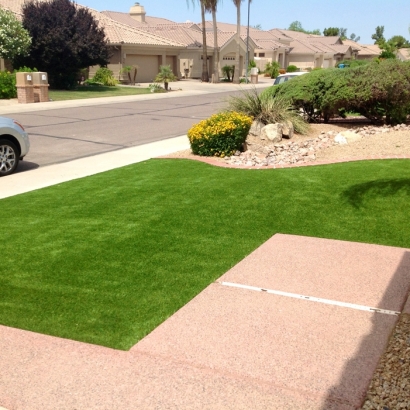 Artificial Grass Orland Hills Illinois Lawn Pavers Back