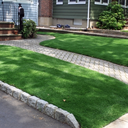 Artificial Grass Robbins Illinois Landscape Back Yard