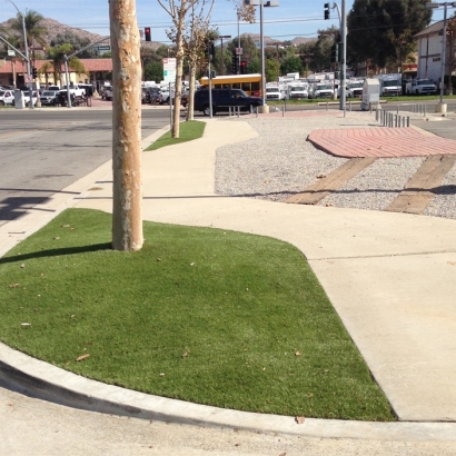 Artificial Turf Arlington Heights Illinois Landscape Front