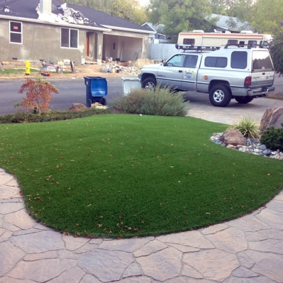 Artificial Turf Bloomingdale Illinois Landscape