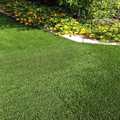 Artificial Turf Bolingbrook Illinois Lawn