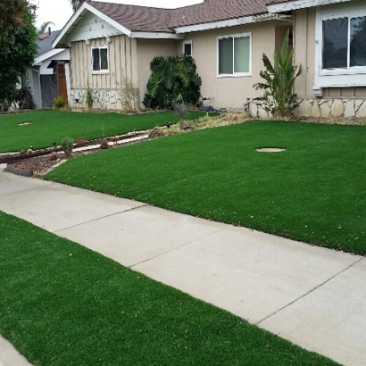 Artificial Turf Downers Grove Illinois Landscape Back Yard