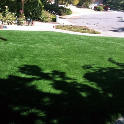 Artificial Turf Homer Glen Illinois Lawn Back Yard