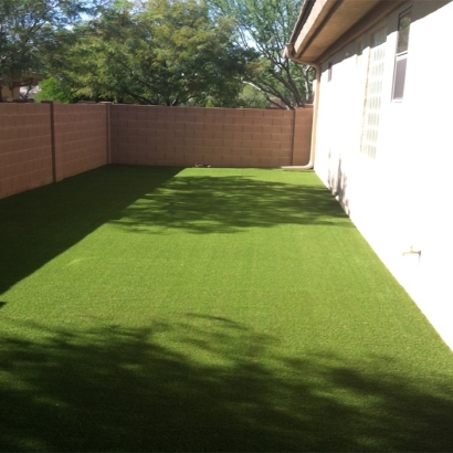 Artificial Turf Lemont Illinois Lawn Back Yard