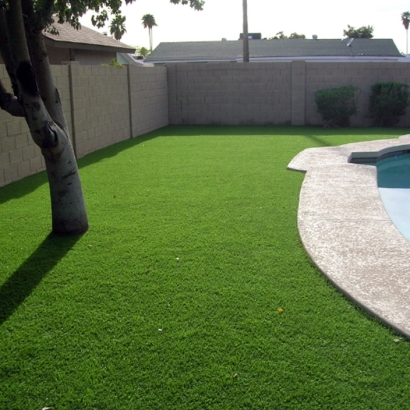 Artificial Turf Markham Illinois Lawn Front Yard