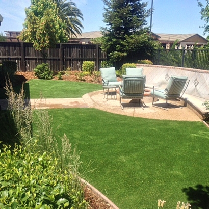 Artificial Turf Matteson Illinois Landscape Back Yard