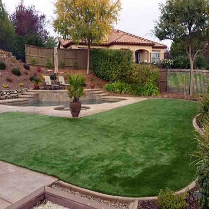 Artificial Turf New Lenox Illinois Landscape Back Yard