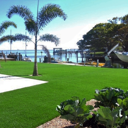 Artificial Turf Niles Illinois Lawn Swimming Pools Back