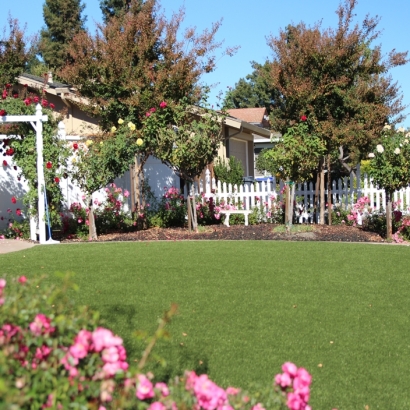 Artificial Turf Olympia Fields Illinois Landscape Back