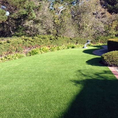 Artificial Turf Palos Hills Illinois Landscape Back Yard