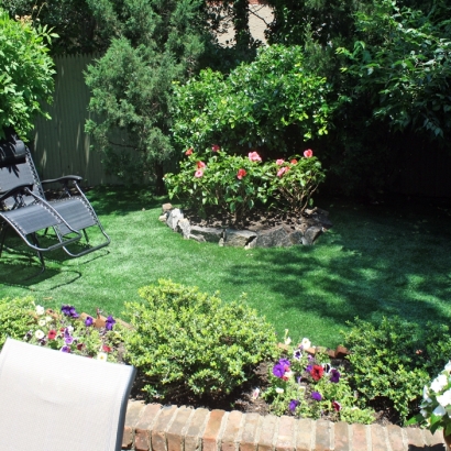 Artificial Turf Palos Park Illinois Lawn Back Yard