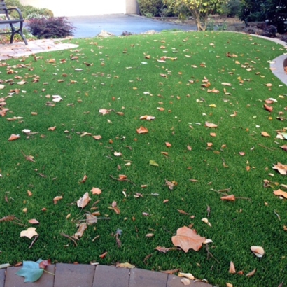 Artificial Turf Park Forest Illinois Landscape Front Yard