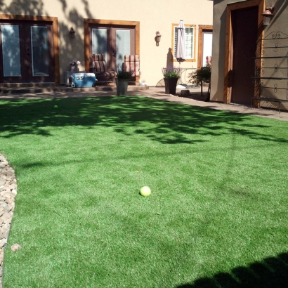 Artificial Turf Posen Illinois Landscape Front Yard