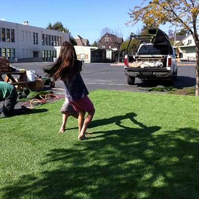 Artificial Turf Robbins Illinois Landscape Front Yard