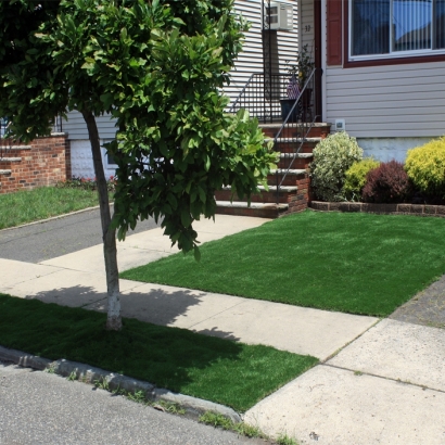 Artificial Turf Rosemont Illinois Landscape Back Yard