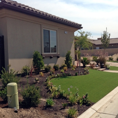 Artificial Turf Willowbrook Illinois Landscape Front Yard