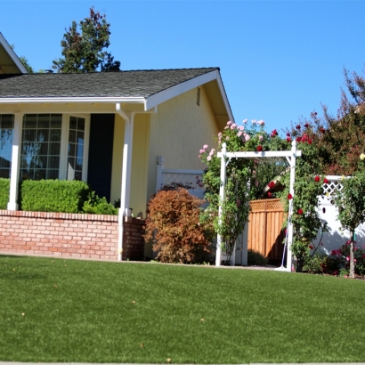 Fake Grass Downers Grove Illinois Landscape Front Yard