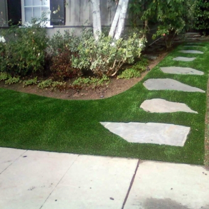 Fake Grass Ford Heights Illinois Lawn Back Yard