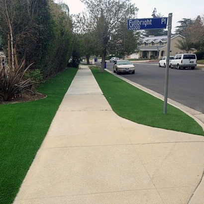 Fake Grass North Riverside Illinois Landscape