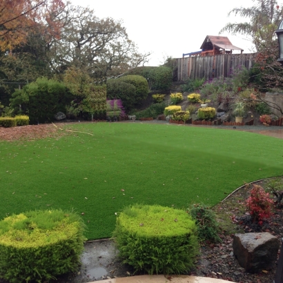 Fake Grass Olympia Fields Illinois Lawn Front Yard