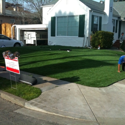 Fake Grass Prospect Heights Illinois Landscape Back Yard