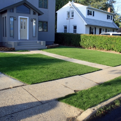 Fake Grass Roselle Illinois Landscape Front Yard