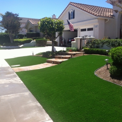 Fake Grass Skokie Illinois Landscape Front Yard