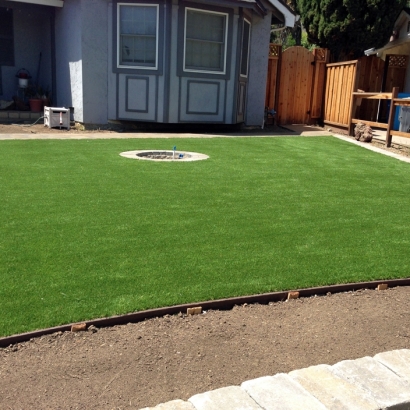 Fake Grass Worth Illinois Landscape Back Yard