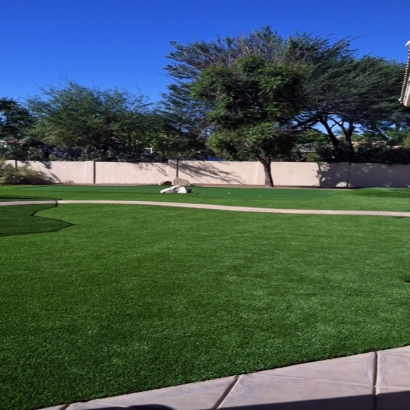 Fake Turf Bellwood Illinois Landscape Back Yard