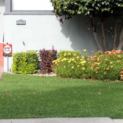 Fake Turf Buffalo Grove Illinois Landscape Front Yard