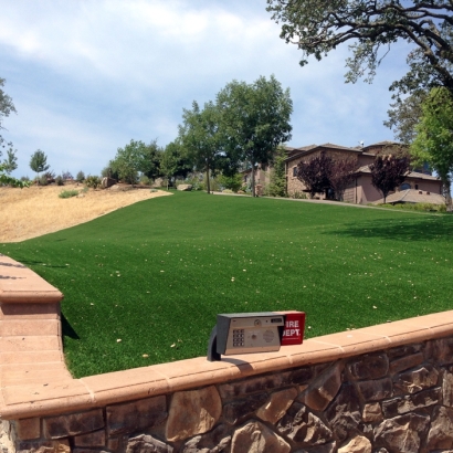 Fake Turf East Chicago Indiana Landscape Back Yard