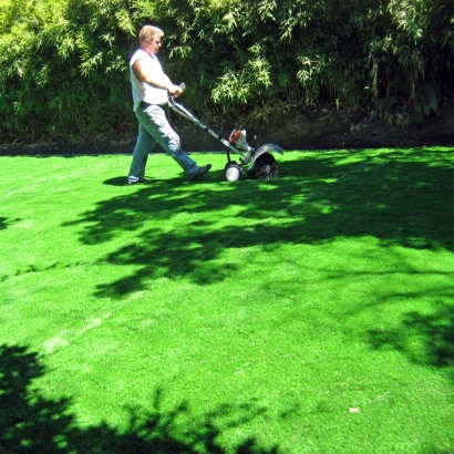 Fake Turf Glendale Heights Illinois Landscape