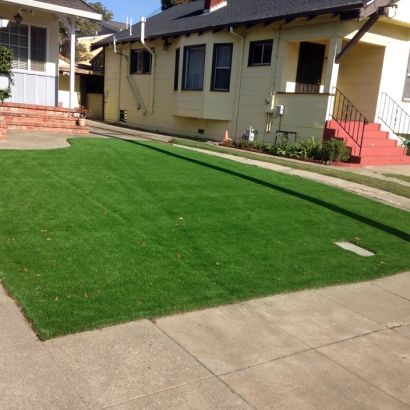 Fake Turf Mokena Illinois Lawn Back Yard