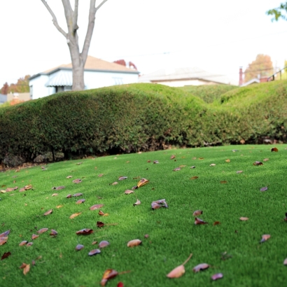 Fake Turf Naperville Illinois Landscape Front Yard